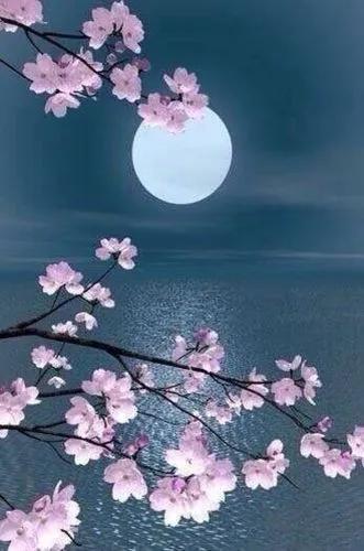 只有李白才能写得如此抒情插图5