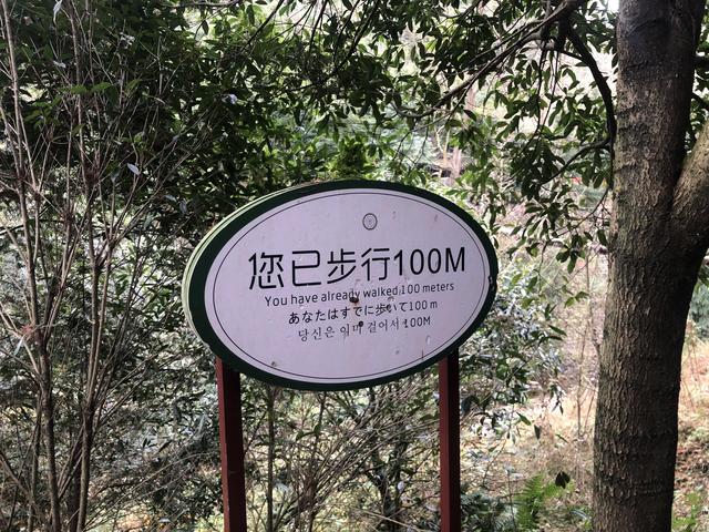 一不小心又成了夜遊~周末街子古鎮康道徒步到光嚴禅院~腳都走麻了