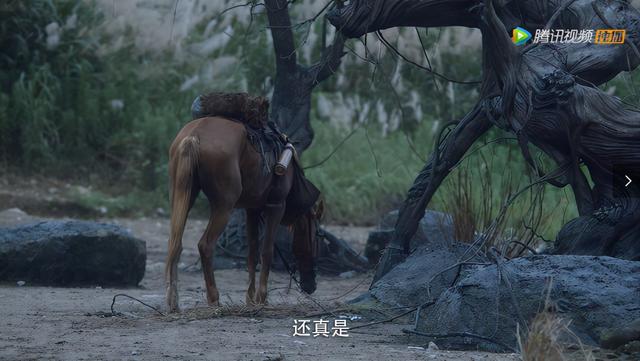 白狐好看吗