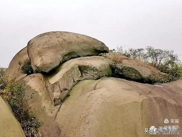 大羅山有處二師兄奇石，惟妙惟肖，你可找到過？