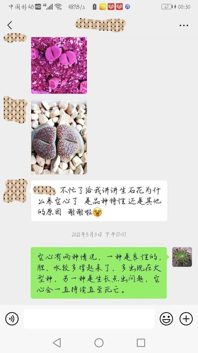 大型制砂机给力富贵机械
