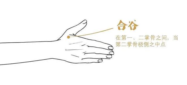 一张化解自汗、盗汗的方子！两味药搞定心气不固、阴虚内热型出汗