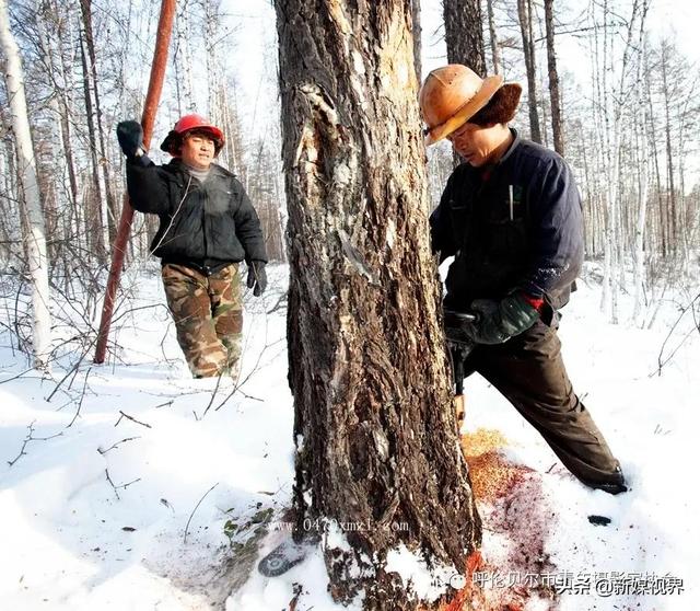 雕刻時光十年前那次不平凡的心路