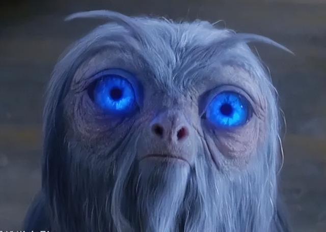 电影神奇动物邓布利多之谜电影在线完整观看免费加长版1080p蓝光熟肉