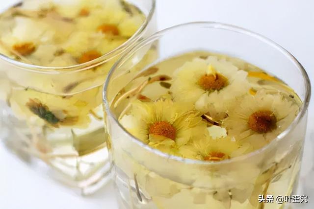 11月开什么花