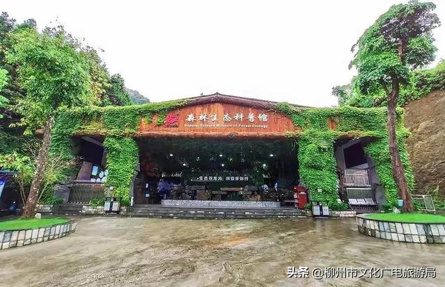 雙龍溝最全打卡攻略出爐，推給朋友絕對沒錯！