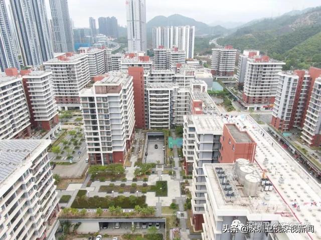 规范公共住房收购工作，深圳出台新规