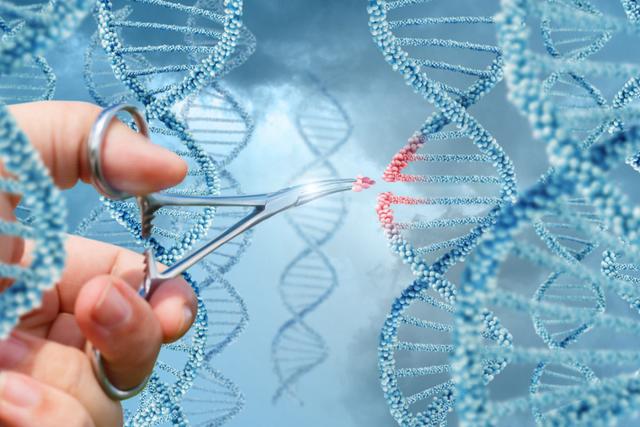 人类为何不能实现“永生”？科学家：人类只是在给基因打工罢了