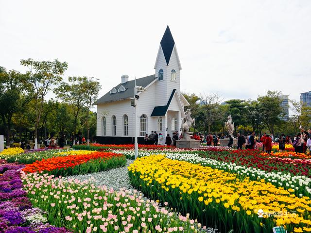 2019厦门机械展在几号