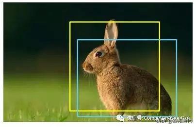 稀疏&集成的卷积神经网络学习