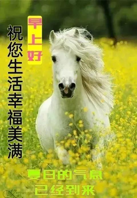 春去夏来 财运火红