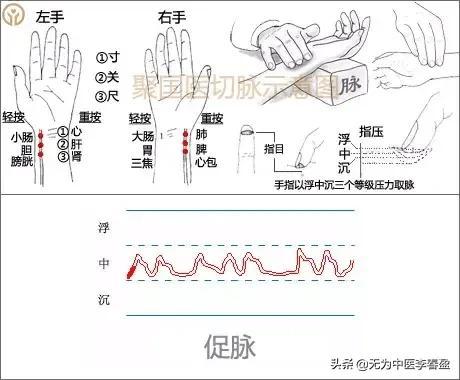 教你给自己把脉（带你入门）