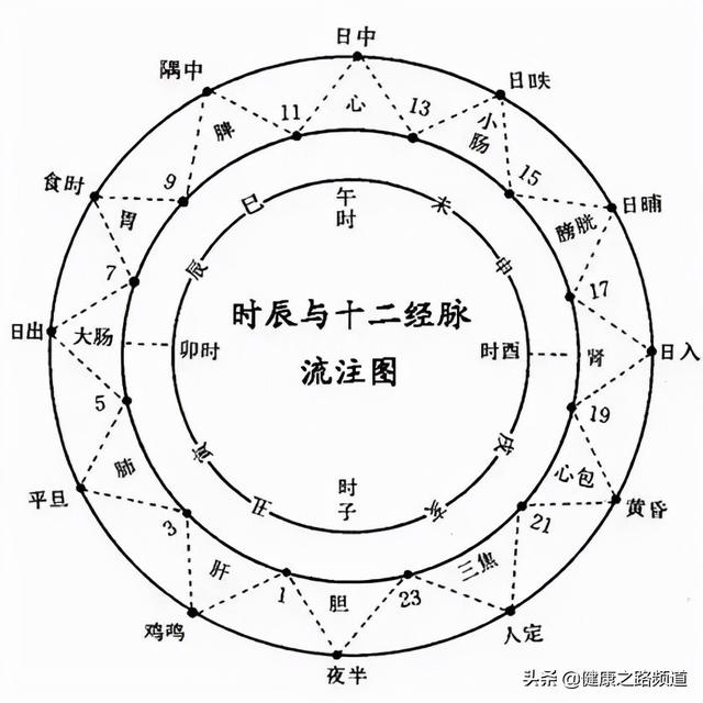 十二时辰对应脏腑图