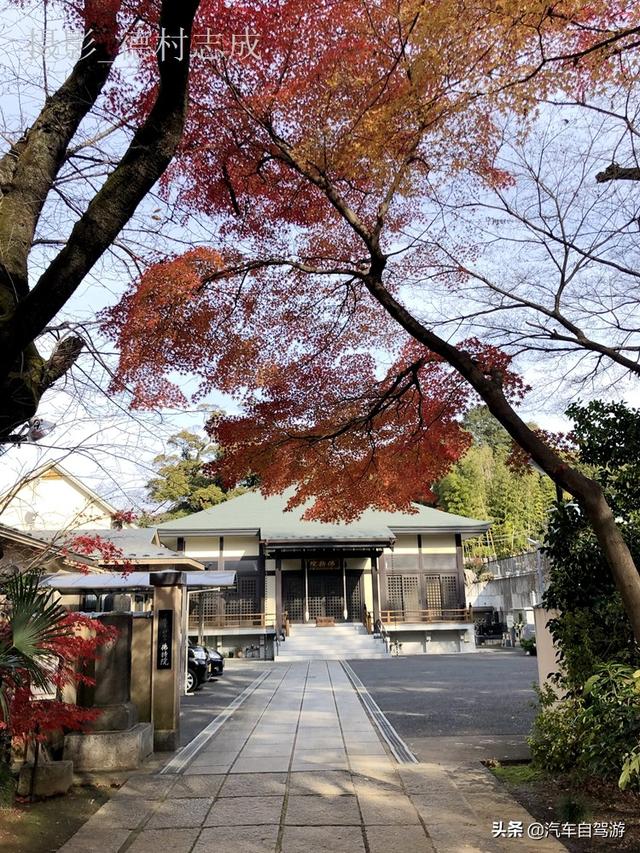德村志成：落葉殘楓依然美麗，久違北小金本土寺