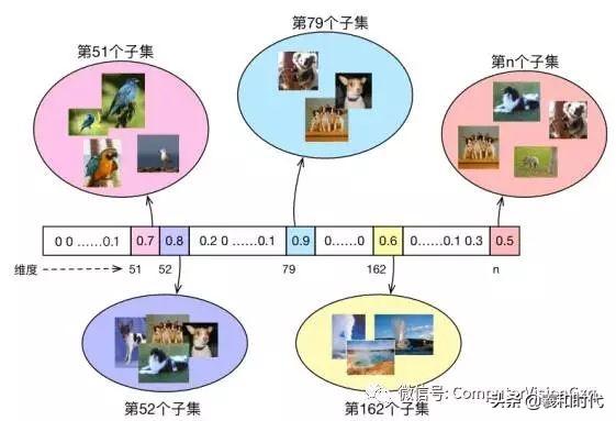 稀疏&集成的卷积神经网络学习
