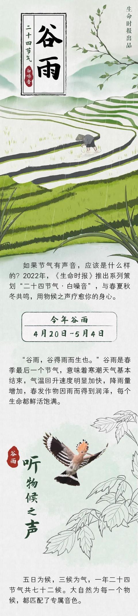 谷雨：用耳朵抓住春天的尾巴