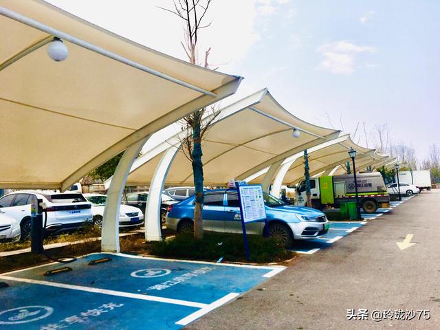 長沙唯一擁有戶外足球場的公園，更有大片水杉美景等你來