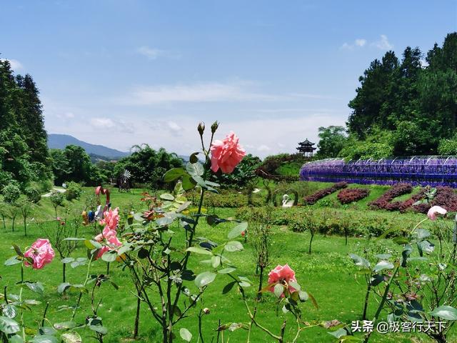 花千谷景区(景德镇花千谷景区)