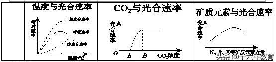 萨顿假说