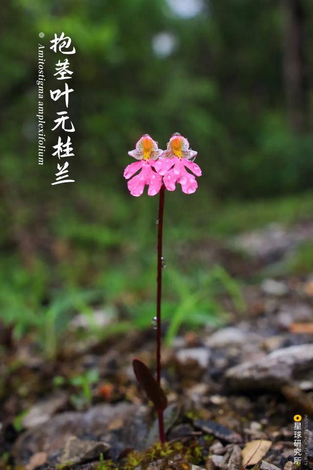 甘肃洗风化砂机哪里卖