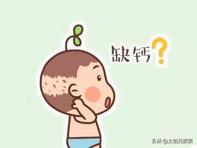 微量元素对孩子的重要性