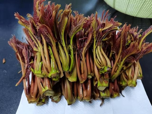 吃蕨菜有害健康？辟谣：3种野菜或可放心食用，你吃对了吗？
