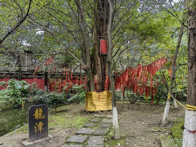成都這四座寺廟免費開放，擁有上千年文化積澱，適合冬日前來打卡