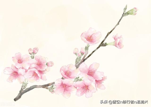 一个人命里的福祸，皆是定数