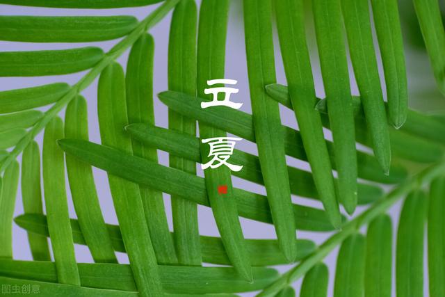 立夏祝福语唯美句子，文案配图