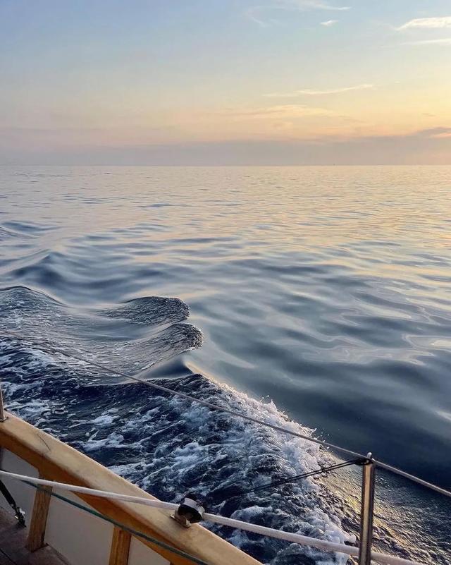 学习笔记（43）丨育儿的核心指导原则