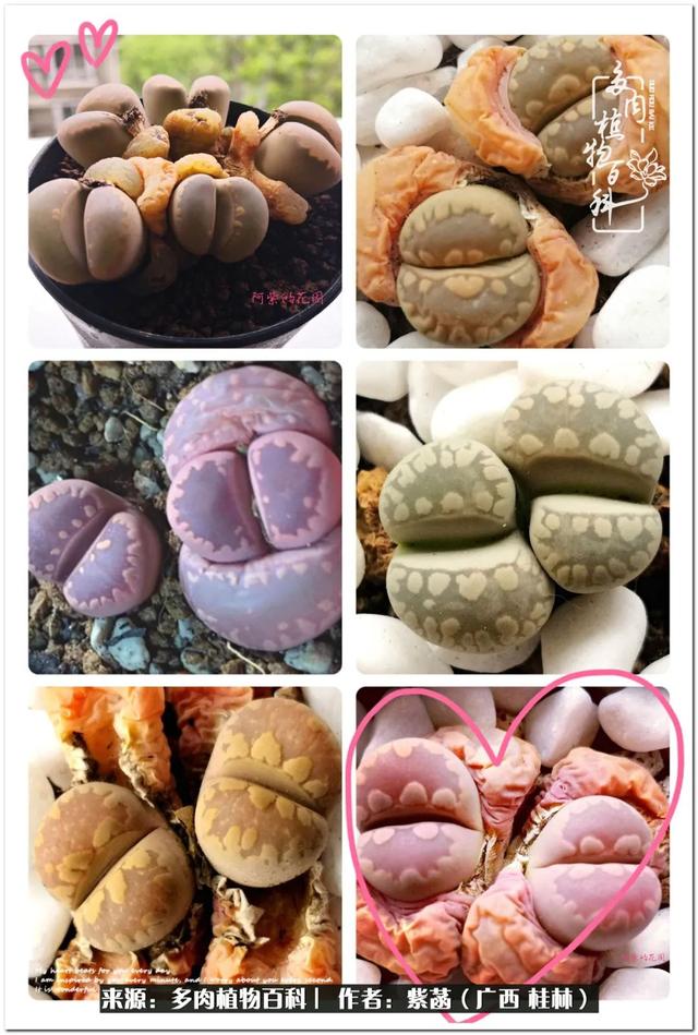 大型制砂机给力富贵机械