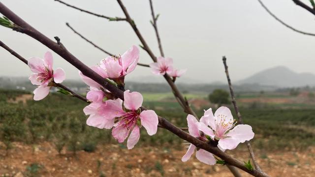 用一颗热爱生活的心，打造自己想要的乐园，余生过自己想过的生活