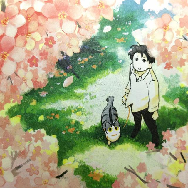 《我的猫，十二岁》世间最长情的告白，它陪你长大，你陪它变老
