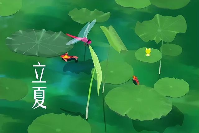 立夏养生尝“素六鲜”，仨锻炼轻松一“夏”