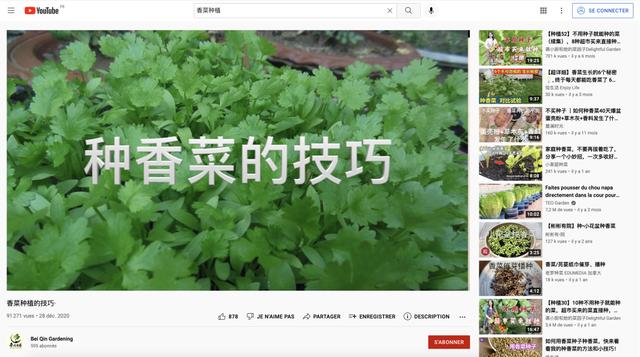 离开上海两年半，此刻我也在揪心着我的菜……