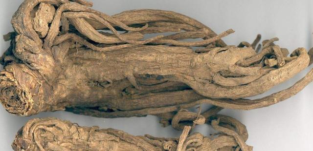 仅需四味药，散寒解表，祛风止痛，专治肩周炎