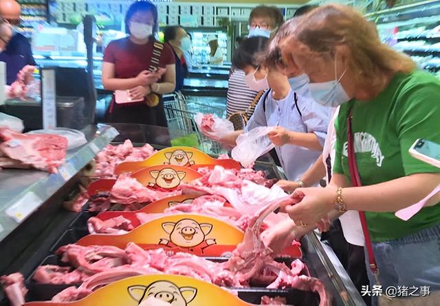 擂鼓助威！猪价“冲天大涨”，20日多地猪价直冲7元，啥情况？