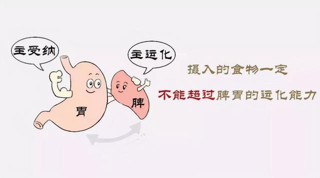 都是治脾胃，理中丸、保和丸、健脾丸、归脾丸要怎么吃？