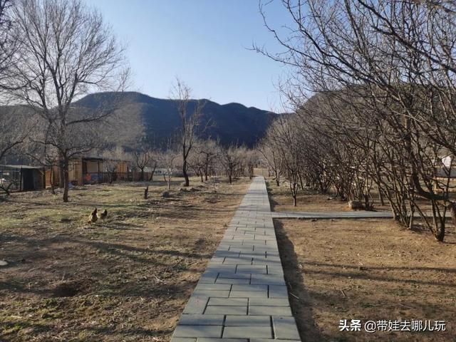 搭帐篷、放风筝、草坪疯跑，山谷里的遛娃宝地，快放入私藏名单