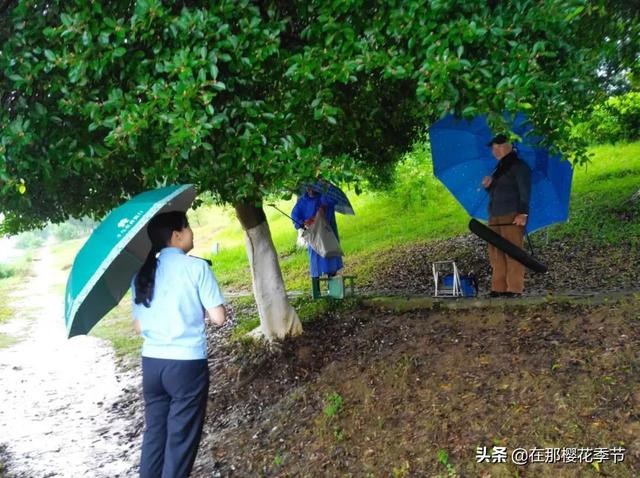 赣州雨҈雨҈雨҈，大树被折断，汽车被压，小心…