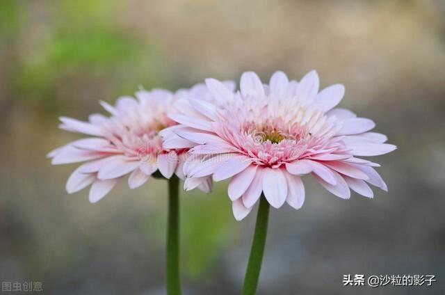伪装的面具，生活的一部分