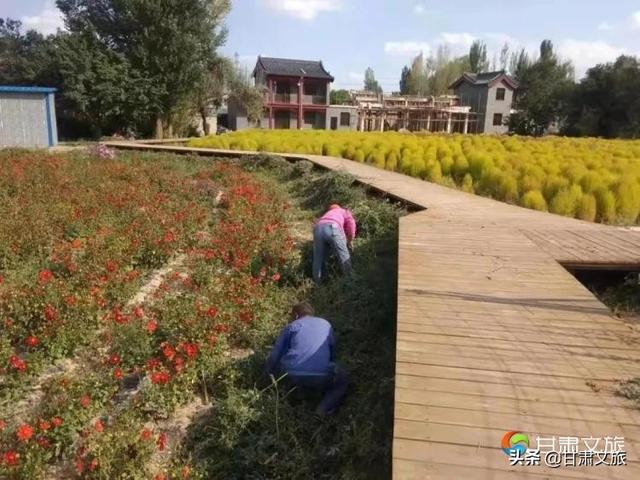 甘肃带式过滤机
