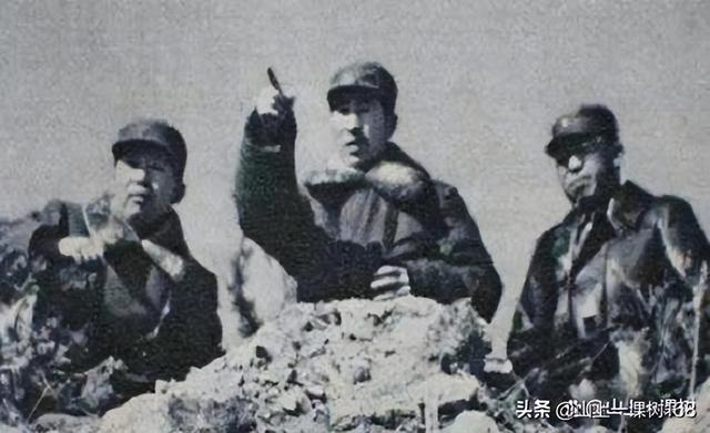 四大野战军是按照什么来排名的