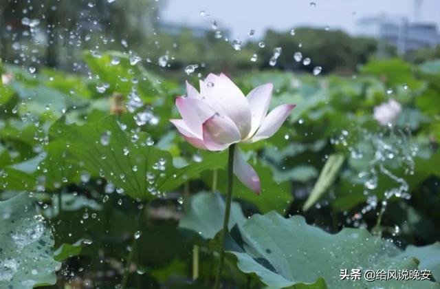 4.27 周三 | 把最容易的事坚持下来，才是最难的事