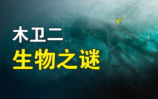 深度超过10万米，进入木卫二地下冰洋，会发现什么神奇物种？