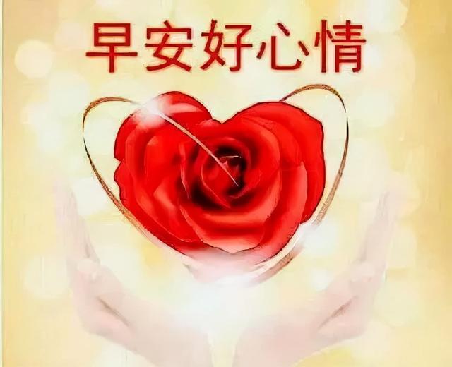 早安愉快一句话轻轻的问候一声早安