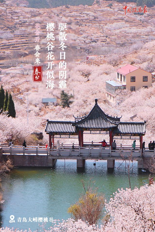 今日春分｜繁花如期盛开 春天定将到来