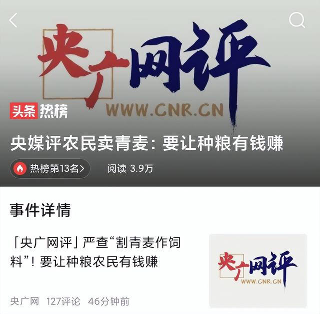 粮价大涨，谁在收购小麦青苗？什么目的？官方点评来了