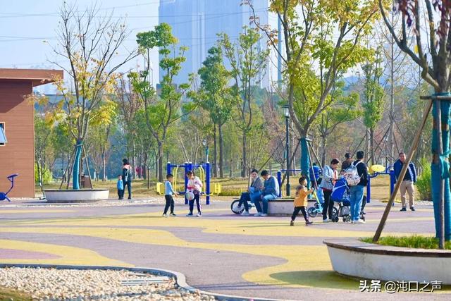 沌口三角湖公園太美啦！喊你來拍照，隨手一拍就是大片