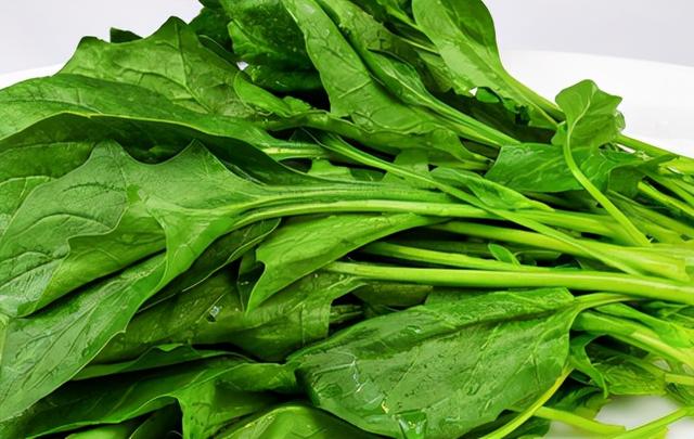 寒冬时节，老年人在饮食上要多留心，3类食物不妨常吃